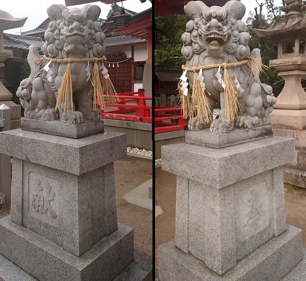 亀之森住吉神社の狛犬