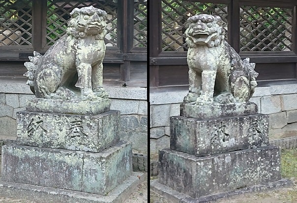 伊居太神社の狛犬