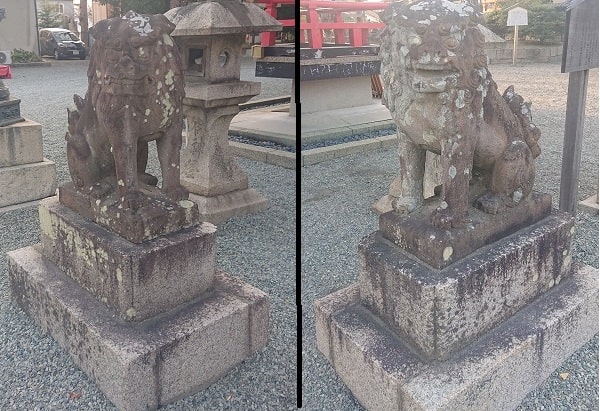 呉服神社の狛犬